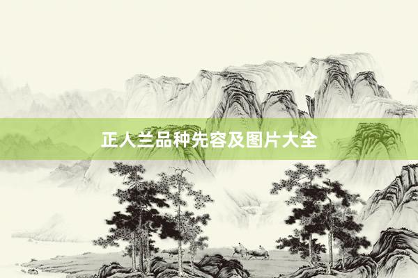 正人兰品种先容及图片大全